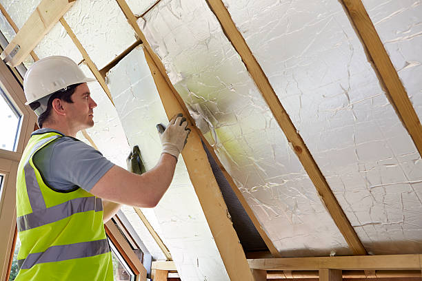 Best Cellulose Insulation in Cross Plains, TN