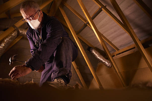 Best Geographic-Specific Insulation Services in Cross Plains, TN